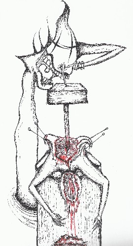 Disinfector
