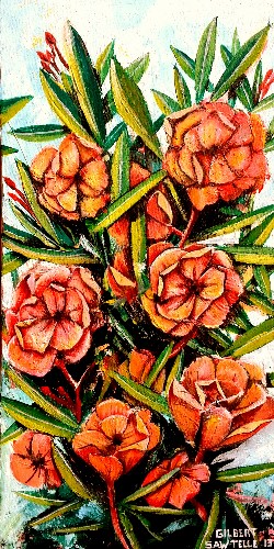 Galveston - Peach Blossom Oleander