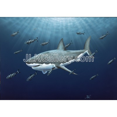 Predator of the Sea