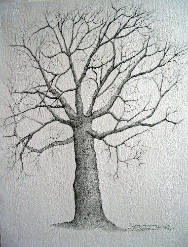 The Tree of Life