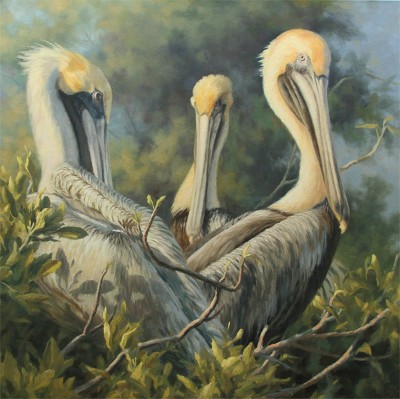 Tree Top Trio