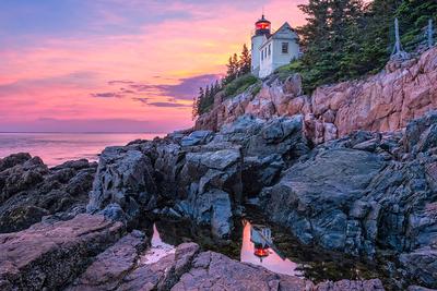 Red Skies Delight - Bass Head Light