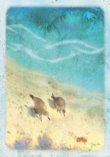 Sandpiper Summer